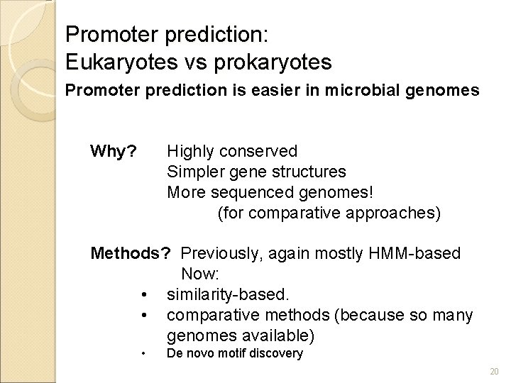 Promoter prediction: Eukaryotes vs prokaryotes Promoter prediction is easier in microbial genomes Why? Highly