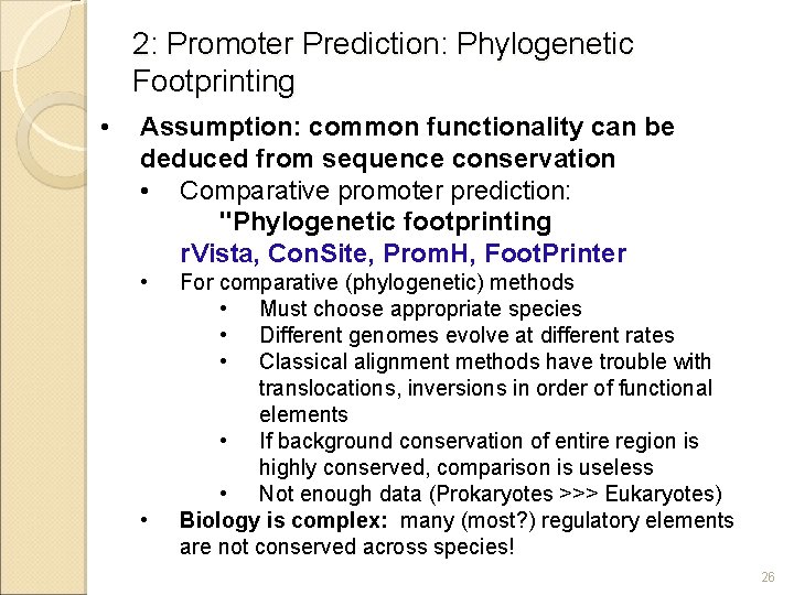 2: Promoter Prediction: Phylogenetic Footprinting • Assumption: common functionality can be deduced from sequence