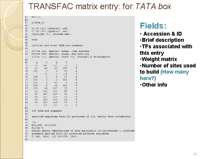 TRANSFAC matrix entry: for TATA box Fields: • Accession & ID • Brief description