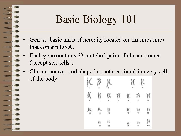 Basic Biology 101 • Genes: basic units of heredity located on chromosomes that contain