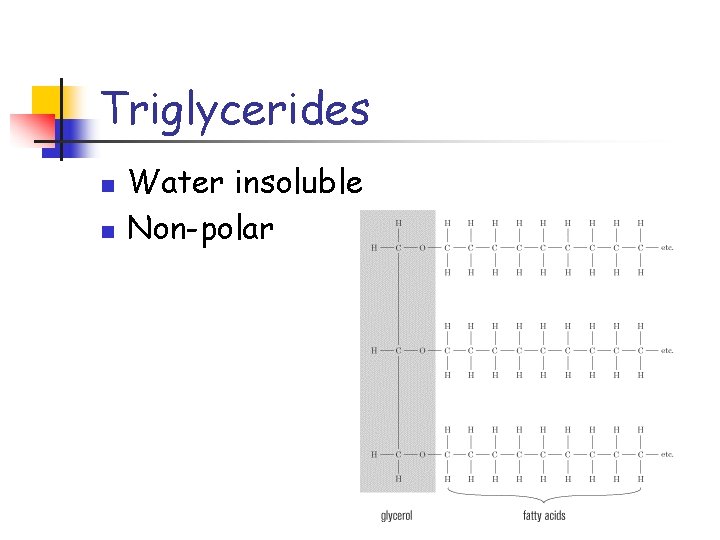 Triglycerides n n Water insoluble Non-polar 