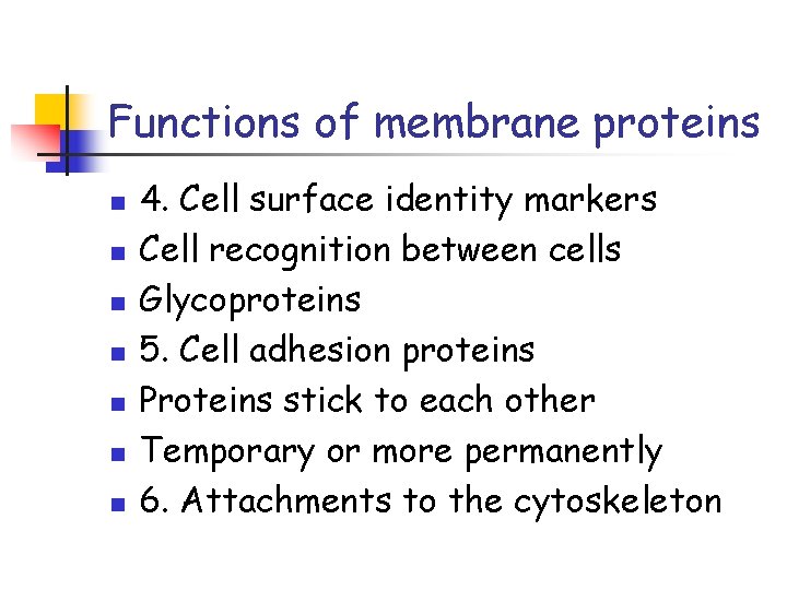 Functions of membrane proteins n n n n 4. Cell surface identity markers Cell