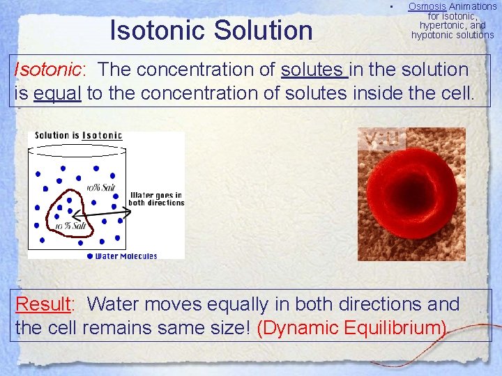  • Isotonic Solution Osmosis Animations for isotonic, hypertonic, and hypotonic solutions Isotonic: The