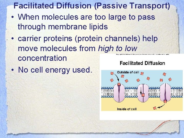 Facilitated Diffusion (Passive Transport) • When molecules are too large to pass through membrane