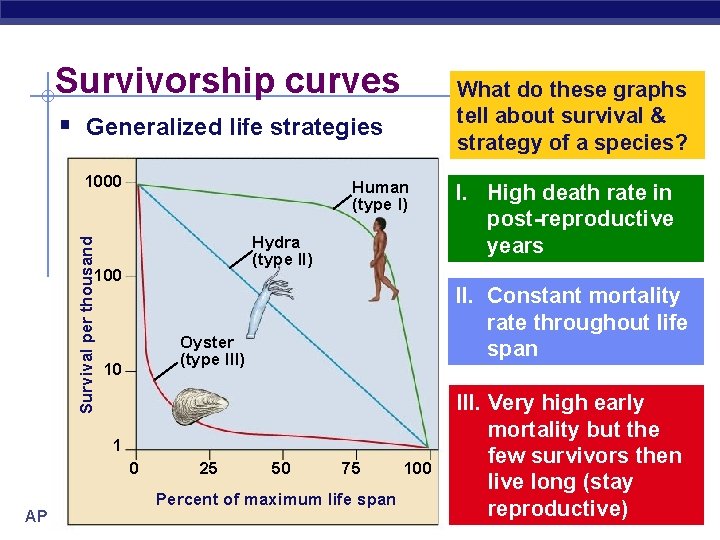 Survivorship curves What do these graphs tell about survival & strategy of a species?
