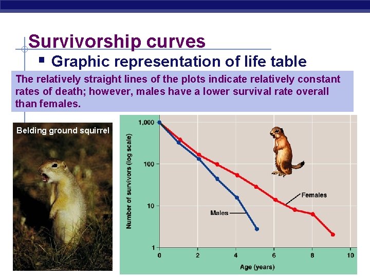 Survivorship curves § Graphic representation of life table The relatively straight lines of the