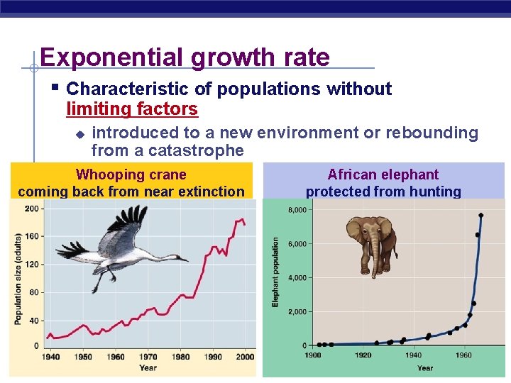 Exponential growth rate § Characteristic of populations without limiting factors u introduced to a