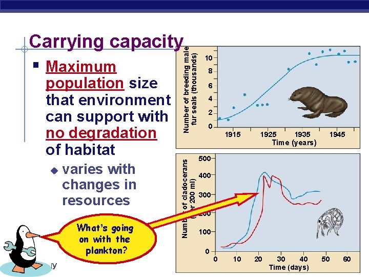 u varies with changes in resources What’s going on with the plankton? AP Biology