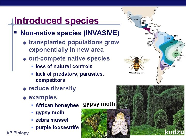 Introduced species § Non-native species (INVASIVE) u u transplanted populations grow exponentially in new
