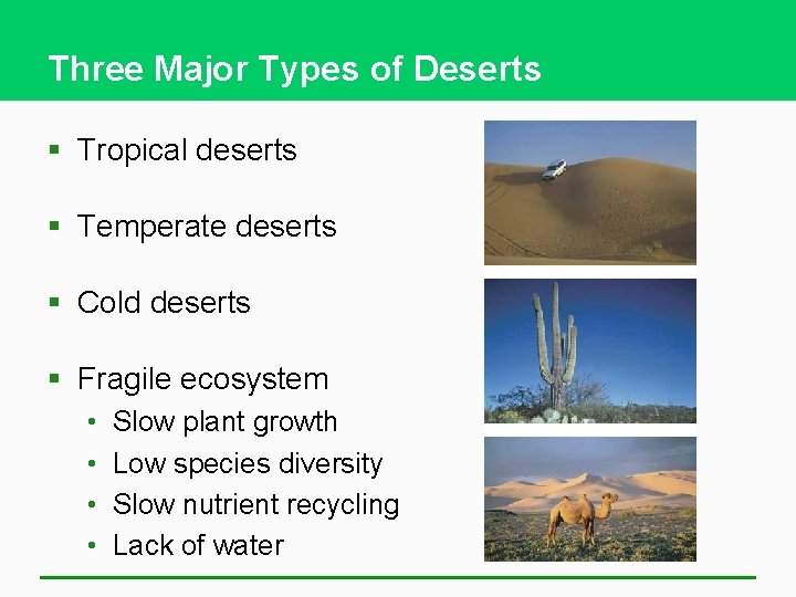 Three Major Types of Deserts § Tropical deserts § Temperate deserts § Cold deserts