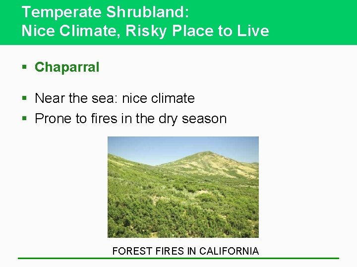 Temperate Shrubland: Nice Climate, Risky Place to Live § Chaparral § Near the sea: