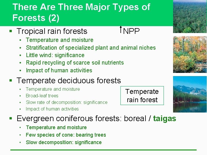 There Are Three Major Types of Forests (2) § Tropical rain forests • •