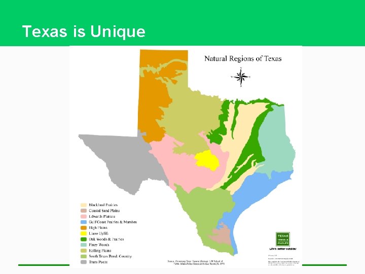 Texas is Unique 
