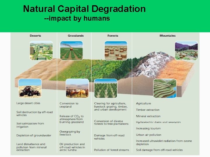Natural Capital Degradation --impact by humans 