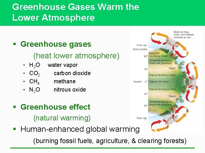 Greenhouse Gases Warm the Lower Atmosphere § Greenhouse gases (heat lower atmosphere) • •
