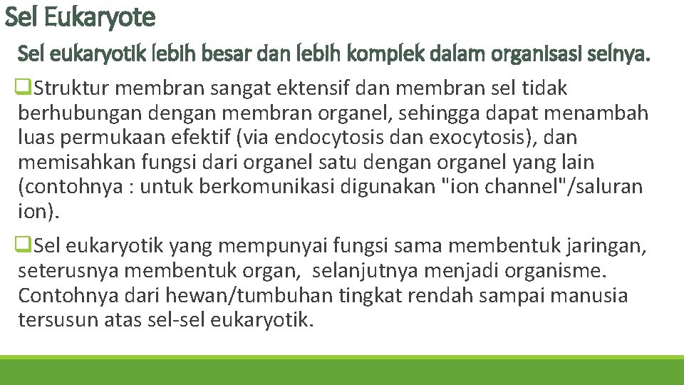 Sel Eukaryote Sel eukaryotik lebih besar dan lebih komplek dalam organisasi selnya. q. Struktur