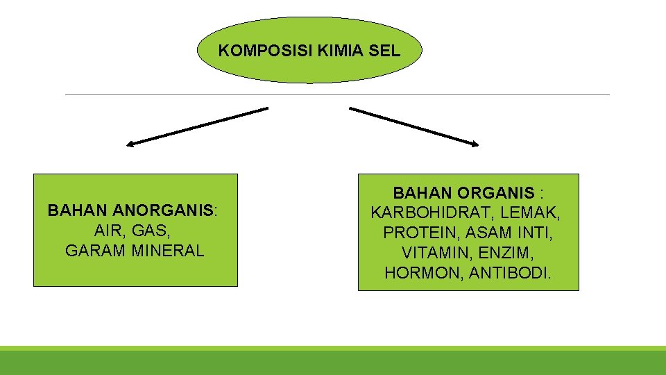 KOMPOSISI KIMIA SEL BAHAN ANORGANIS: AIR, GAS, GARAM MINERAL BAHAN ORGANIS : KARBOHIDRAT, LEMAK,