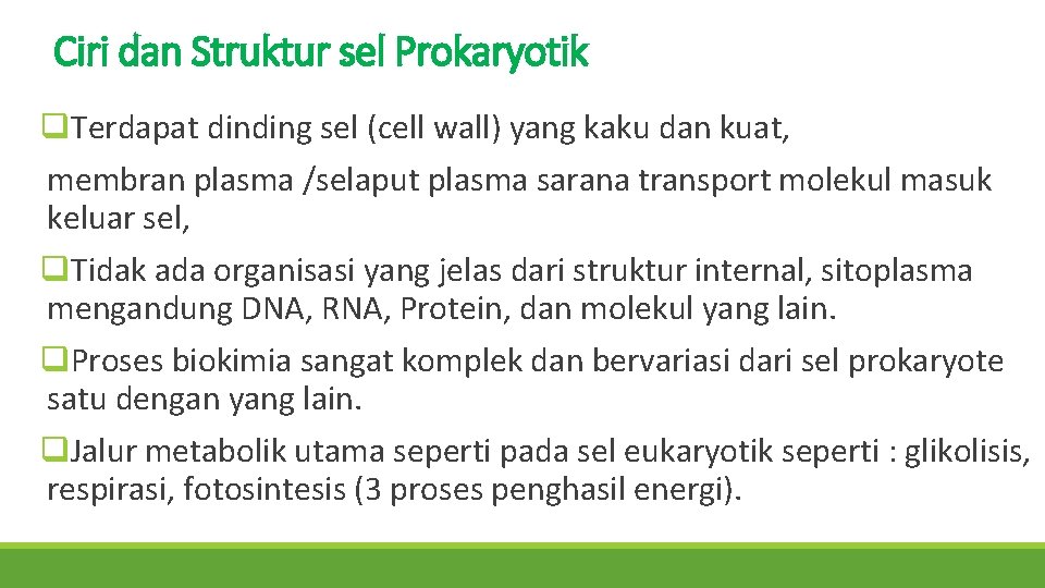 Ciri dan Struktur sel Prokaryotik q. Terdapat dinding sel (cell wall) yang kaku dan