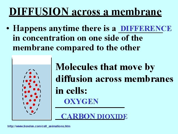 DIFFUSION across a membrane DIFFERENCE • Happens anytime there is a _____ in concentration