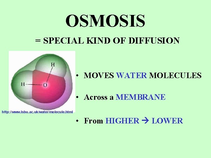 OSMOSIS = SPECIAL KIND OF DIFFUSION • MOVES WATER MOLECULES • Across a MEMBRANE