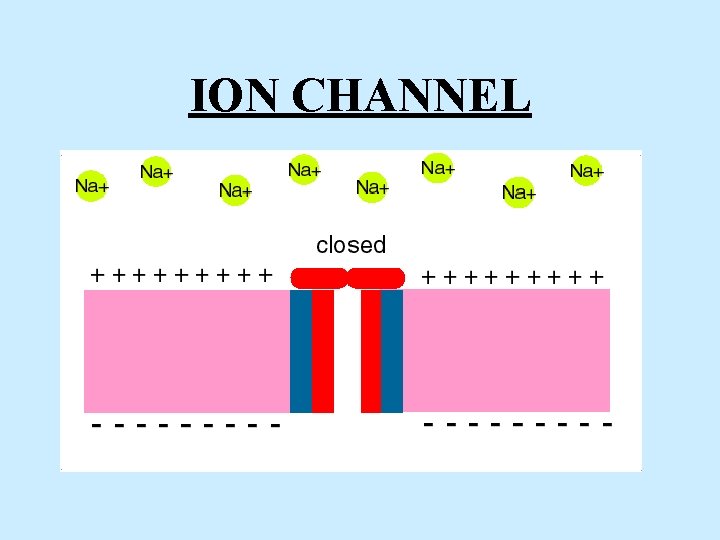 ION CHANNEL 