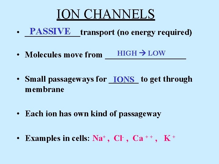 ION CHANNELS PASSIVE • _______transport (no energy required) HIGH LOW • Molecules move from