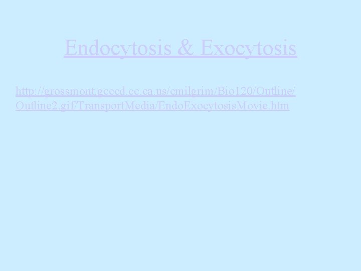 Endocytosis & Exocytosis http: //grossmont. gcccd. cc. ca. us/cmilgrim/Bio 120/Outline/ Outline 2. gif/Transport. Media/Endo.