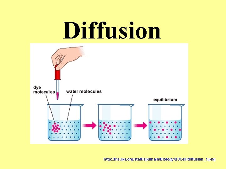 Diffusion http: //lhs. lps. org/staff/sputnam/Biology/U 3 Cell/diffusion_1. png 