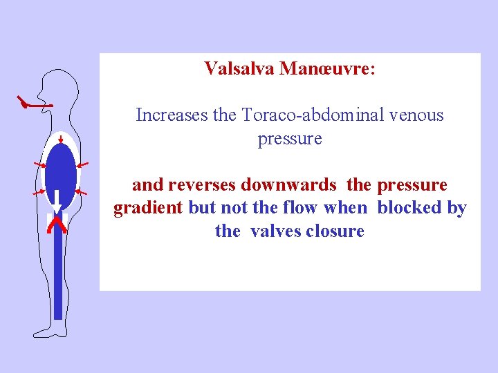 Valsalva Manœuvre: Increases the Toraco-abdominal venous pressure and reverses downwards the pressure gradient but