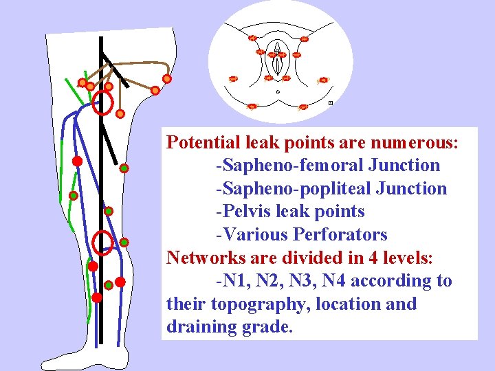 i. P o. P c. P o. P p. P ig P sg. P