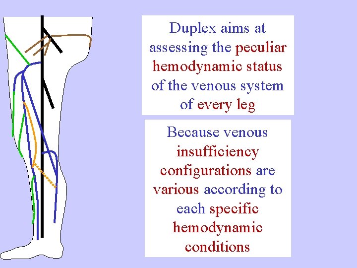 Duplex aims at assessing the peculiar hemodynamic status of the venous system of every