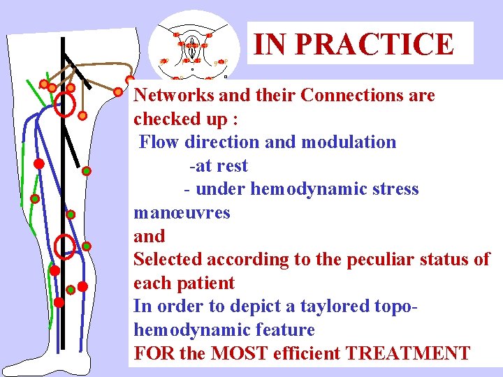 i. P o Pc Pc P o P ig P p. P sg. P