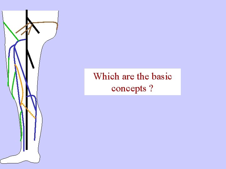 Which are the basic concepts ? 