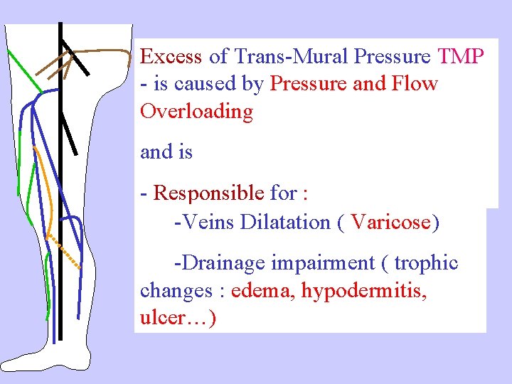 Excess of Trans-Mural Pressure TMP - is caused by Pressure and Flow Overloading and