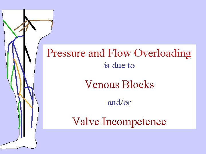 Pressure and Flow Overloading is due to Venous Blocks and/or Valve Incompetence 