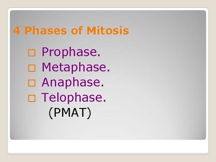 4 Phases of Mitosis Prophase. � Metaphase. � Anaphase. � Telophase. (PMAT) � 