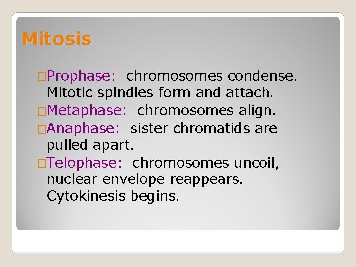Mitosis �Prophase: chromosomes condense. Mitotic spindles form and attach. �Metaphase: chromosomes align. �Anaphase: sister