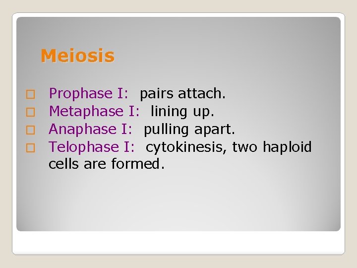 Meiosis Prophase I: pairs attach. � Metaphase I: lining up. � Anaphase I: pulling