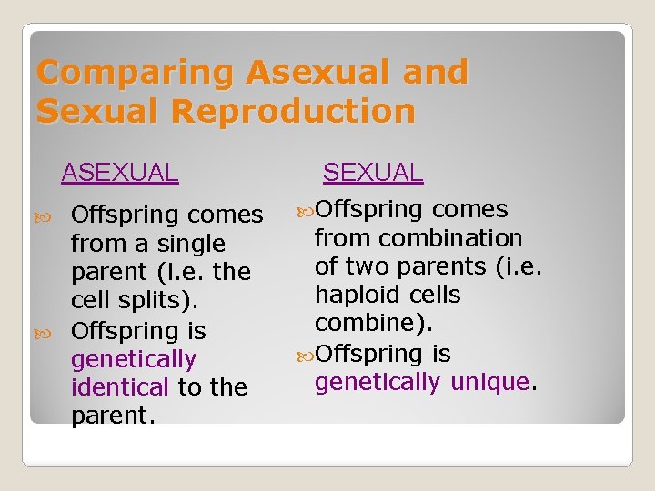 Comparing Asexual and Sexual Reproduction ASEXUAL Offspring comes from a single parent (i. e.