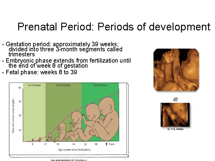Prenatal Period: Periods of development - Gestation period: approximately 39 weeks; divided into three