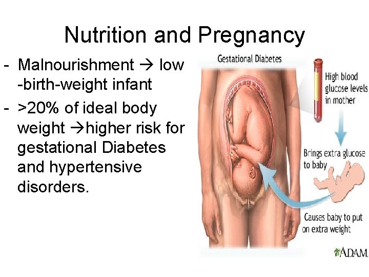 Nutrition and Pregnancy - Malnourishment low -birth-weight infant - >20% of ideal body weight