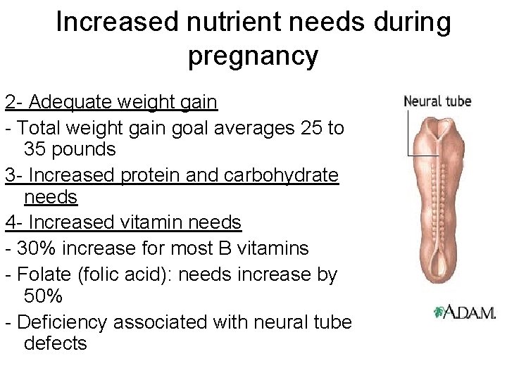 Increased nutrient needs during pregnancy 2 - Adequate weight gain - Total weight gain