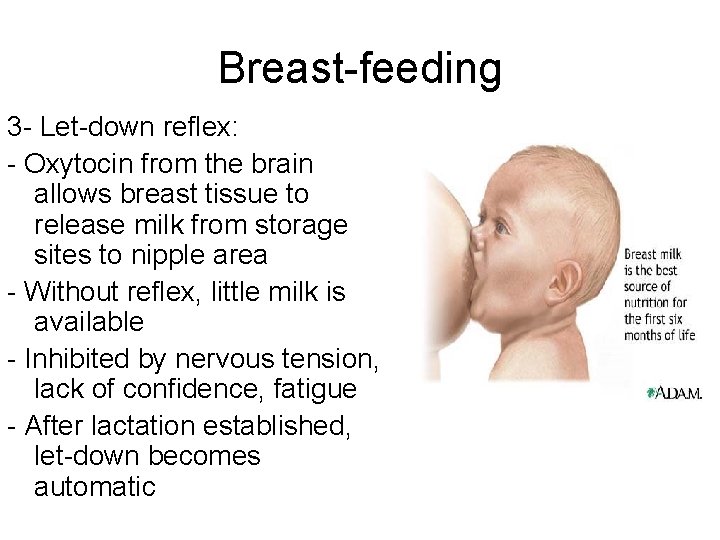 Breast-feeding 3 - Let-down reflex: - Oxytocin from the brain allows breast tissue to