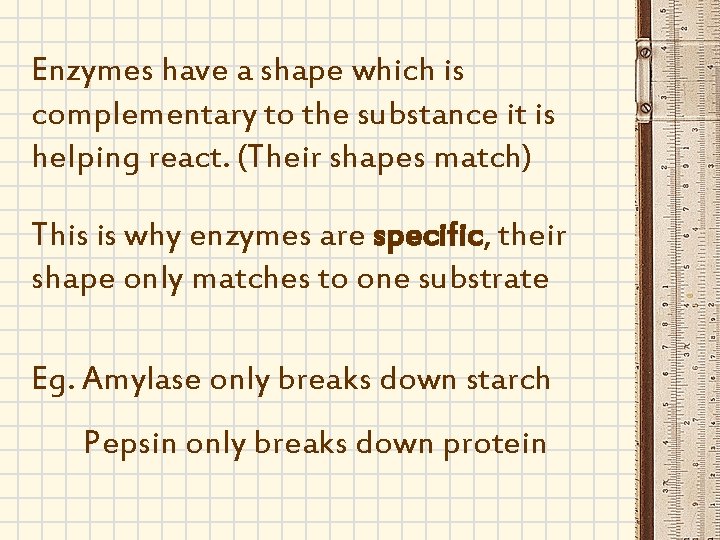 Enzymes have a shape which is complementary to the substance it is helping react.