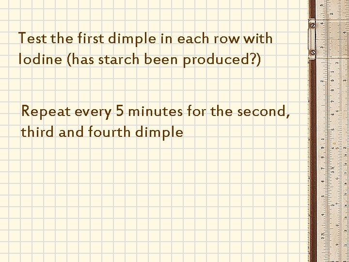 Test the first dimple in each row with Iodine (has starch been produced? )