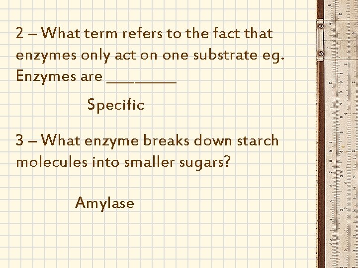 2 – What term refers to the fact that enzymes only act on one