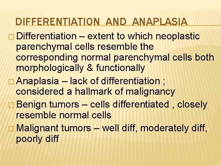 DIFFERENTIATION AND ANAPLASIA � Differentiation – extent to which neoplastic parenchymal cells resemble the