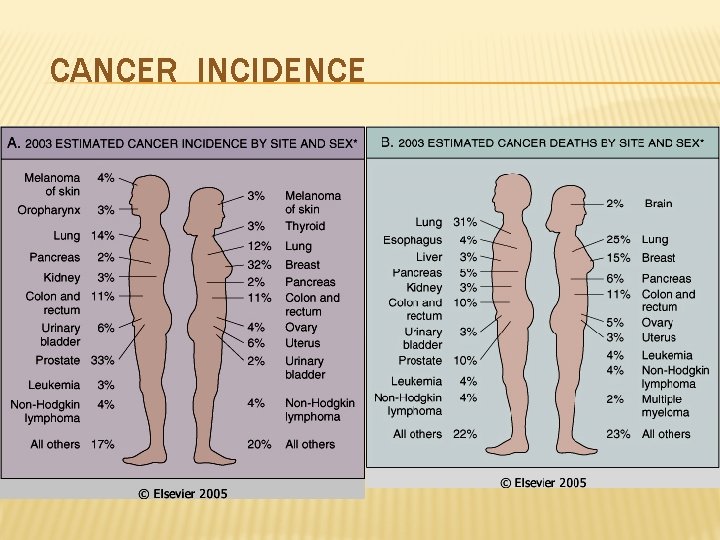CANCER INCIDENCE 