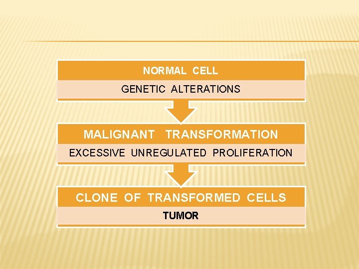 NORMAL CELL GENETIC ALTERATIONS MALIGNANT TRANSFORMATION EXCESSIVE UNREGULATED PROLIFERATION CLONE OF TRANSFORMED CELLS TUMOR