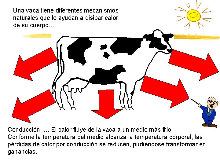 Una vaca tiene diferentes mecanismos naturales que le ayudan a disipar calor de su